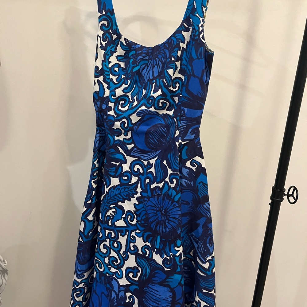 Floral Blue and White Dress